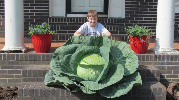 TEACHING KIDS GARDENING